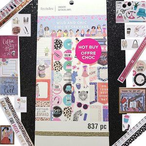 NEW Book of 837 Stickers WILD & CHIC Recollections